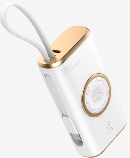 Premium 10000 mAh 30W Kablosuz PowerBank (MagPro) (LPP-WP16) resmi